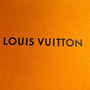 Louis Vuitton sneakers